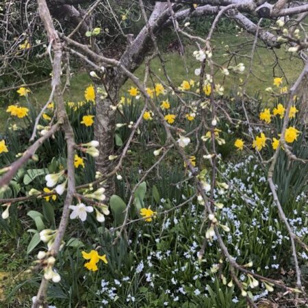 Sunday Morning Equinox Ceremony